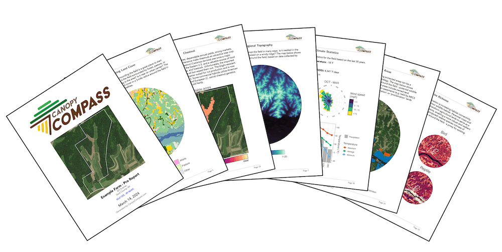 Canopy Compass: Create Compass Reports